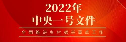 yl23411永利官网