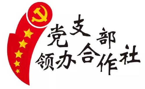 yl23411永利官网